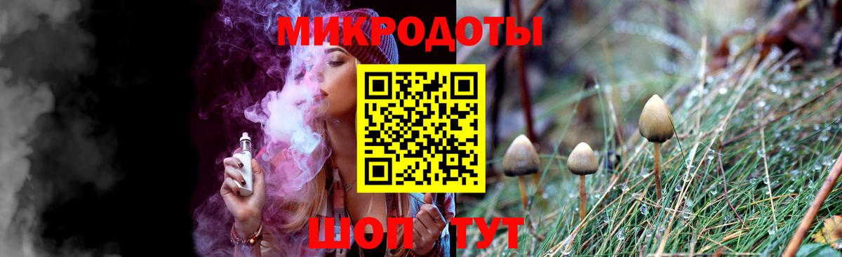 Галлюциногенные грибы Psilocybine cubensis Егорьевск