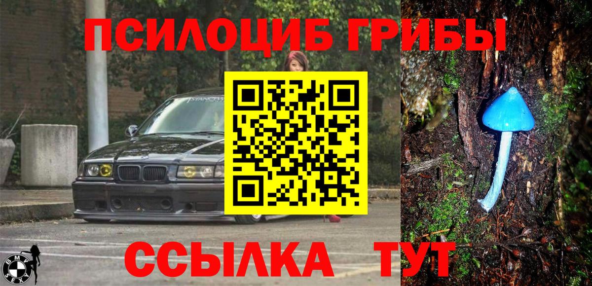 Егорьевск  Псилоцибиновые грибы Magic Shrooms  Вход с VPN 